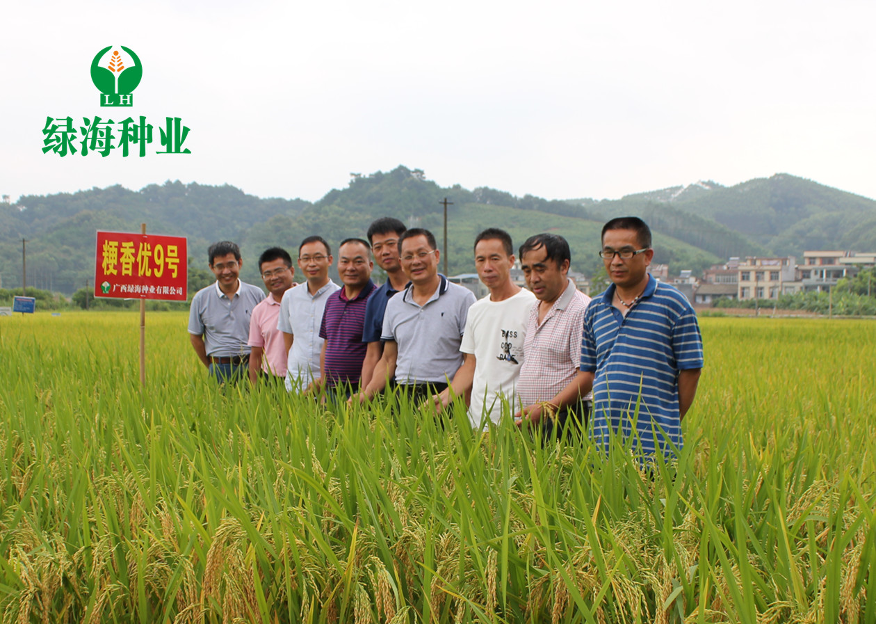 江西农大、江西省农科院、水稻所及萍乡市农科所考察团一行到公司考察调研
