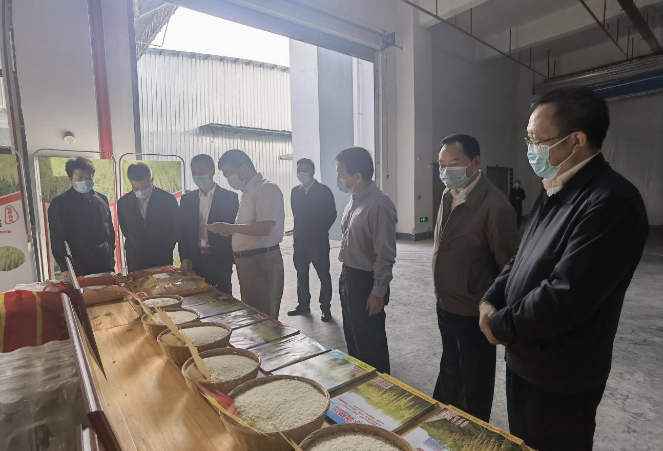 自治区副主席方春明到广西绿海种业有限公司调研农业科技工作